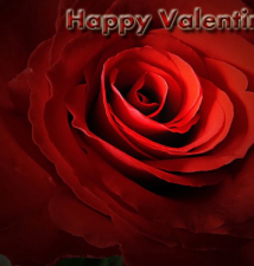 valentines-day-2013-hd-wallpapers_6jpg1